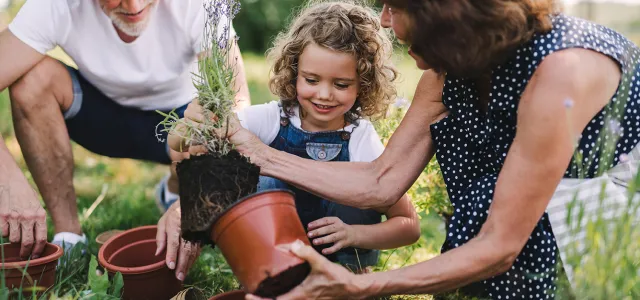 grandparents gardening